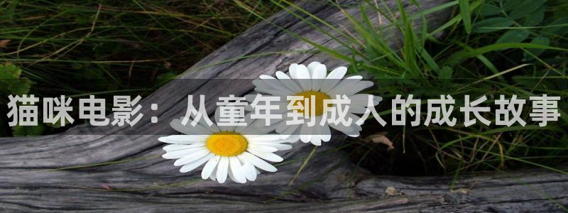南瓜影院影院影免費電影在線高清：貓咪電影：從童年到成人的成長故事