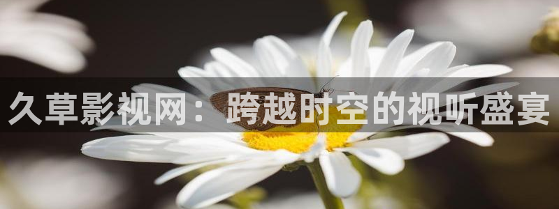 南瓜南瓜的圖片：久草影視網：跨越時空的視聽盛宴