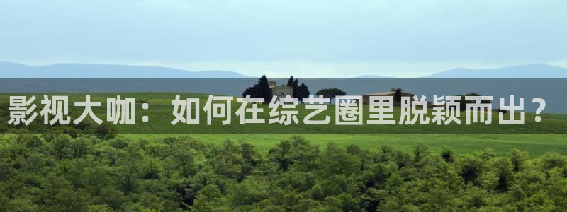 南瓜的價格