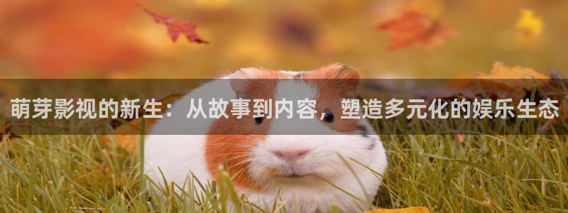 南瓜影院網站