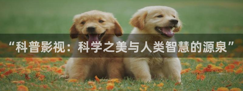 南瓜電影在線