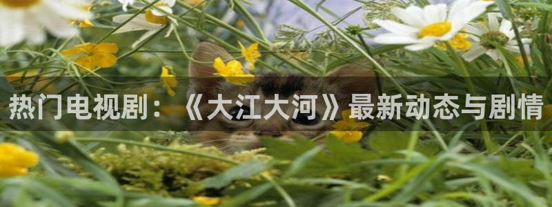 南瓜電影全部免費