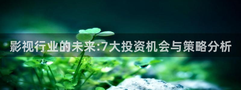 南瓜包：影視行業(yè)的未來:7大投資機會與策略分析