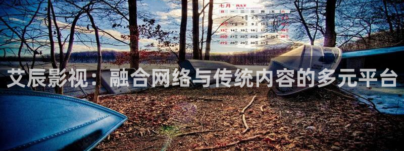 南瓜影視官方正版：艾辰影視：融合網(wǎng)絡(luò)與傳統(tǒng)內(nèi)容的多元平臺